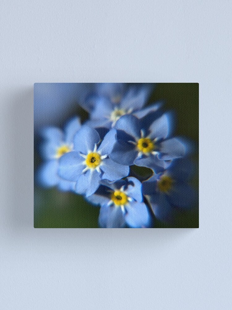 Alternate view of Forget-Me-Not Canvas Print