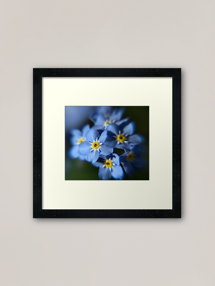 Alternate view of Forget-Me-Not Framed Art Print