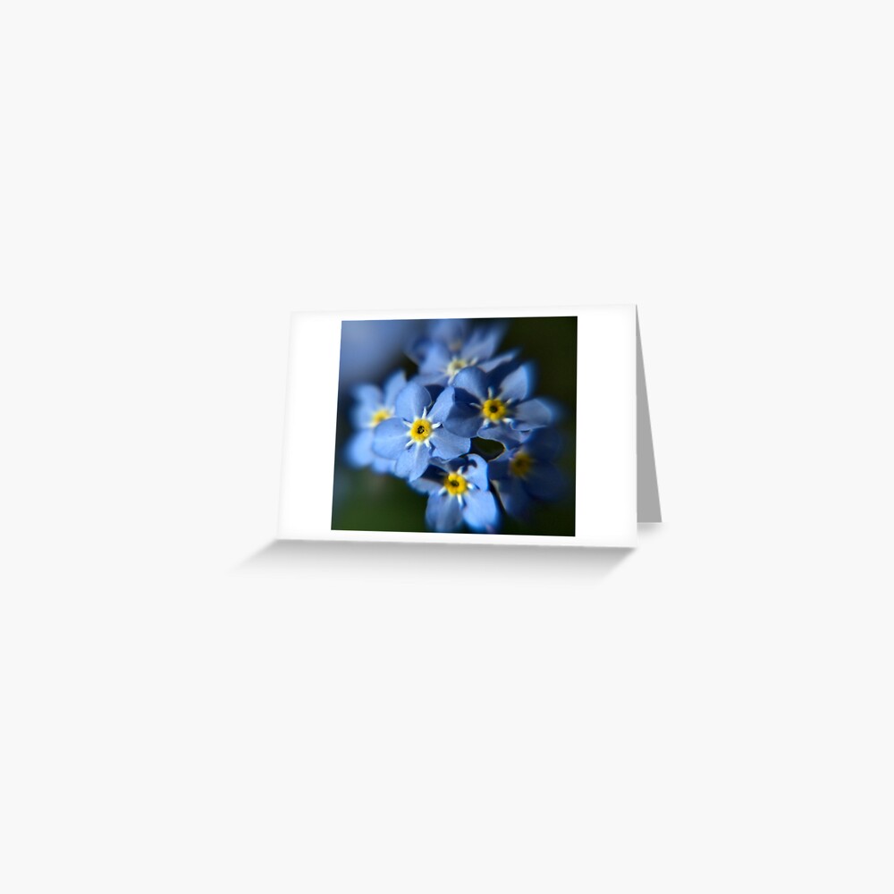 Item preview, Greeting Card designed and sold by pauleden.
