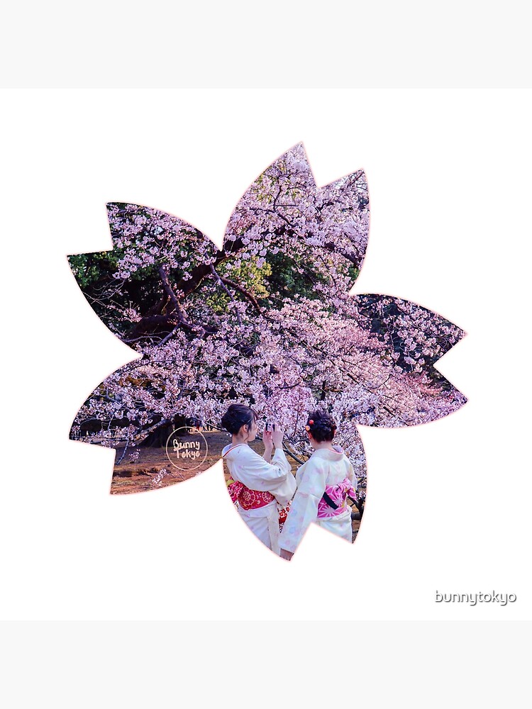 Hanami in Tokyo - Sakura by bunnytokyo