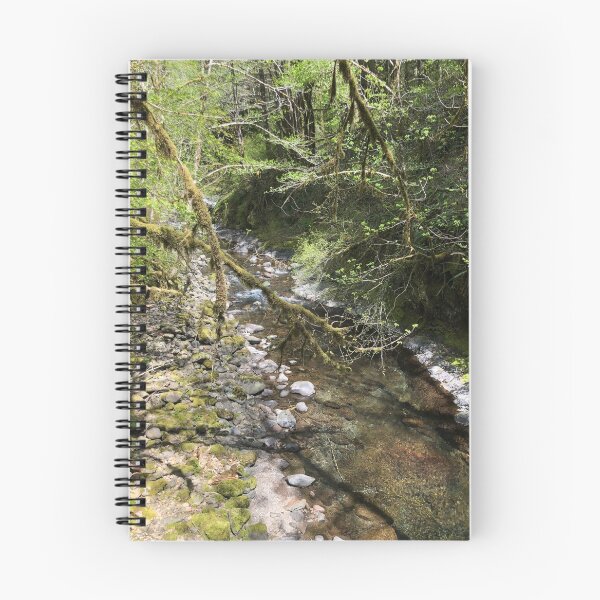 Item preview, Up the creek designed and sold by Beau Gordon.