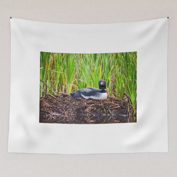 Item preview, Loon on Nest - Norway - Maine designed and sold by StevenRalserPhoto.