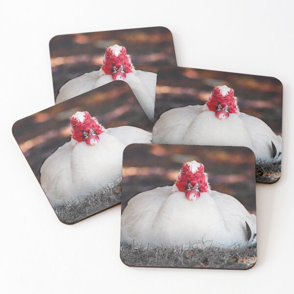 Item preview, © Muscovy duck designed and sold by GeoPipics.