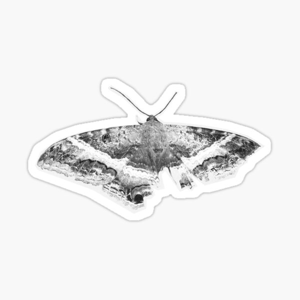 Aperçu de l'œuvre Kendrick Lamar - Pour pimper un papillon créée et vendue par regalthreads.