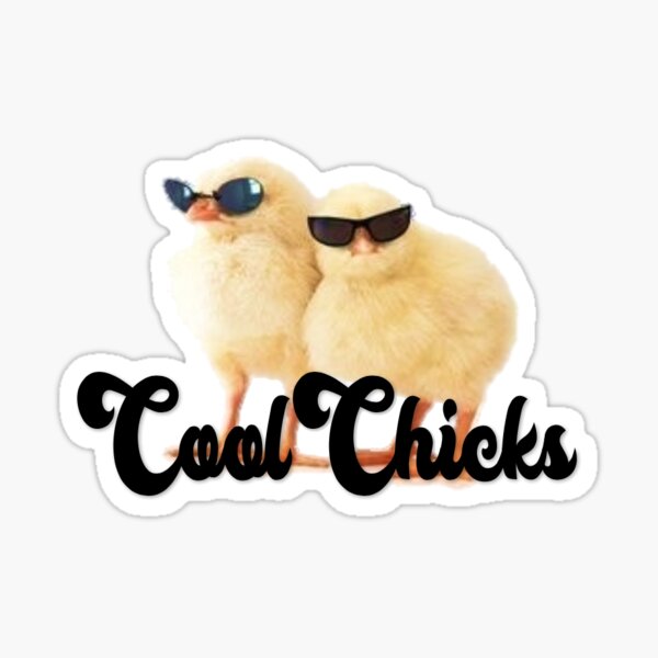 chickadees with sunglasses Sticker