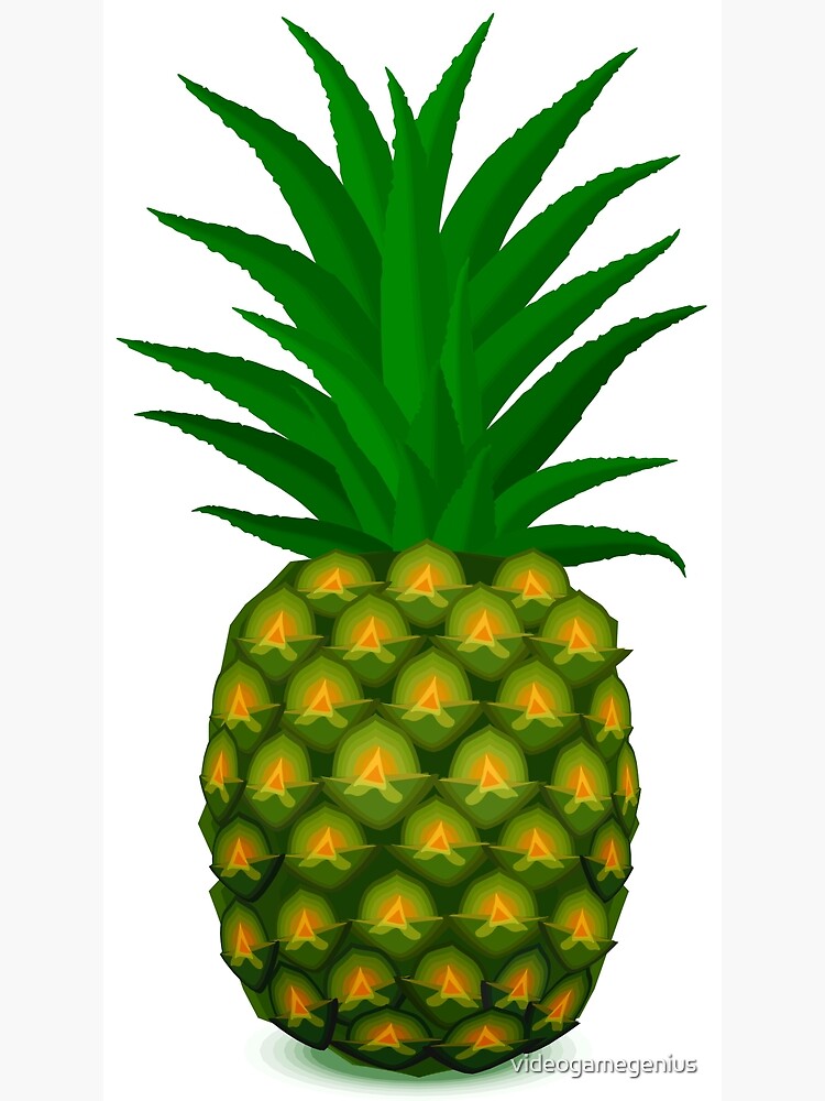 How to Draw a Pineapple in 5 Steps