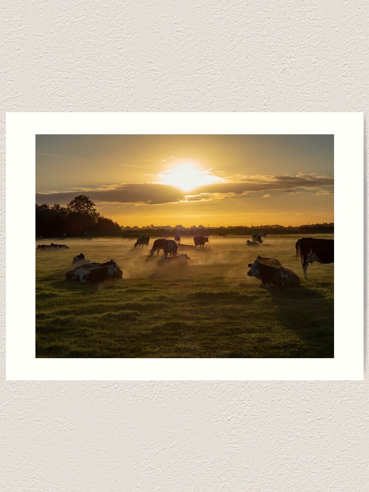 Alternate view of Cows in the fog Art Print