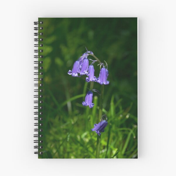 Item preview, Bluebells in Sussex Countryside designed and sold by Sue Robinson.