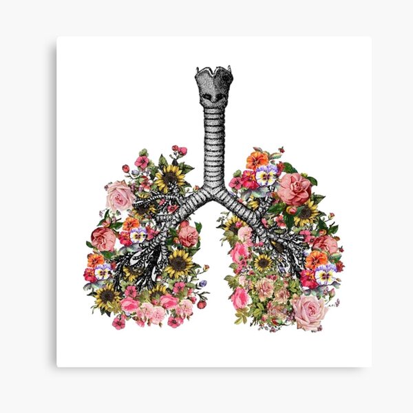 "lungs flowers tumblr cf five feet apart" Canvas Print for Sale by cass