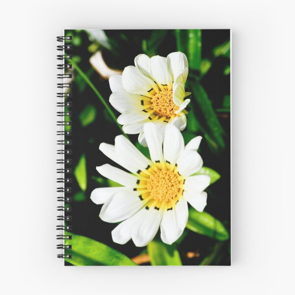 Item preview, Daisies designed and sold by TGrowden.