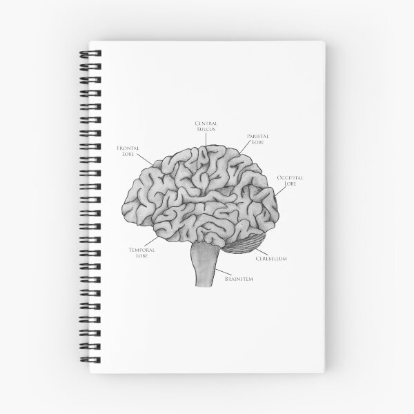 Item preview, Scientific Brain Illustration designed and sold by BundaBear.