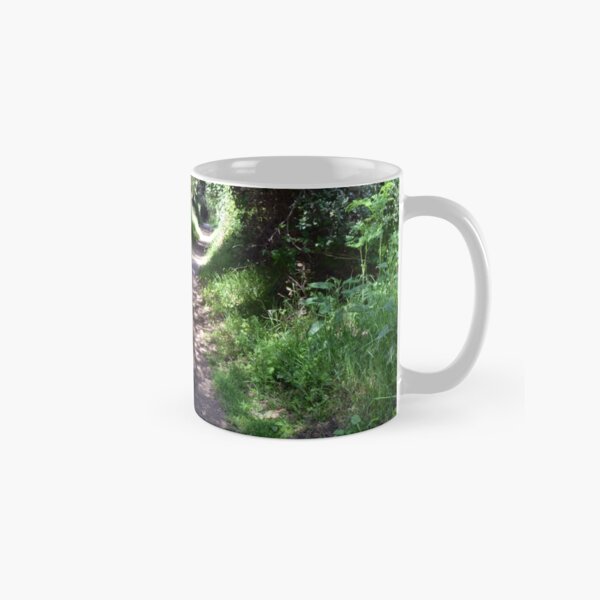 Forest path,Moonwater Classic Mug