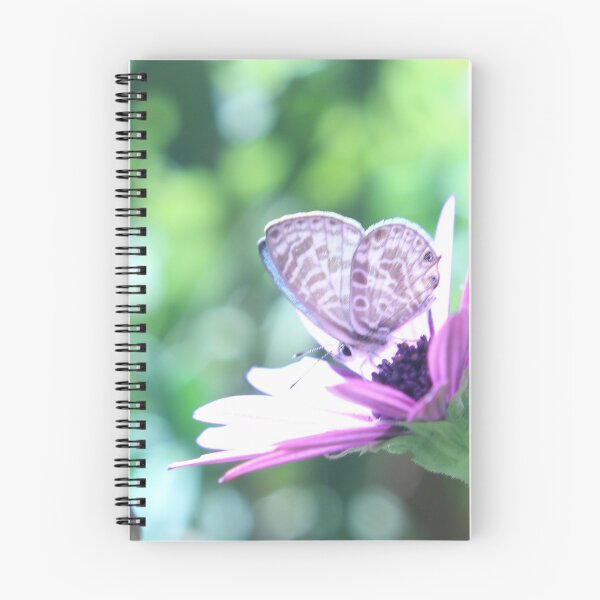 Item preview, Purple Daisy and Butterfly  Weranga QLD Australia designed and sold by Amanda Marchant Fine Art Photography.