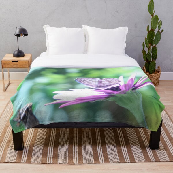 Item preview, Purple Daisy and Butterfly  Weranga QLD Australia designed and sold by Amanda Marchant Fine Art Photography.