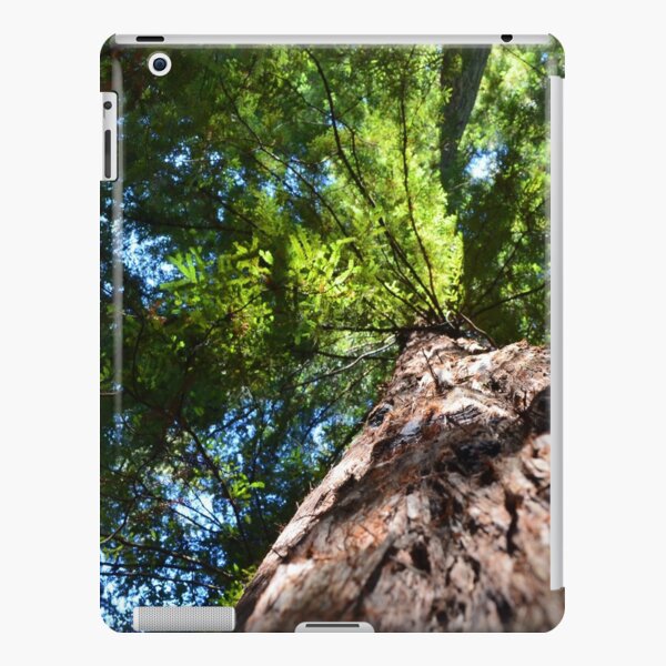 Redwood iPad Snap Case