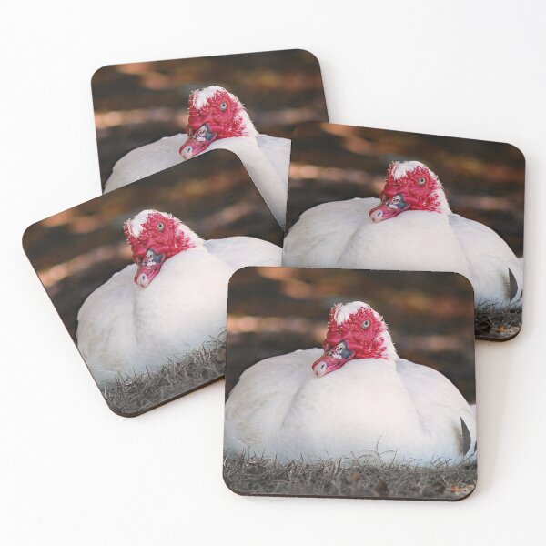 Item preview, © Muscovy duck designed and sold by GeoPipics.