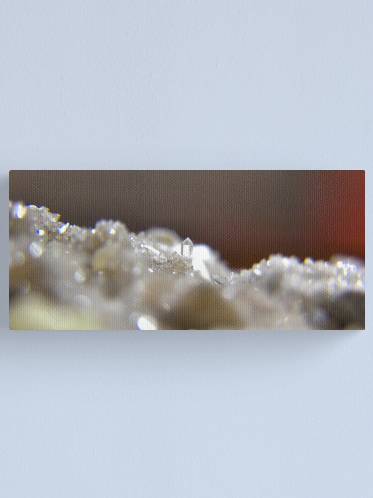 Alternate view of The Diamond Keep Canvas Print
