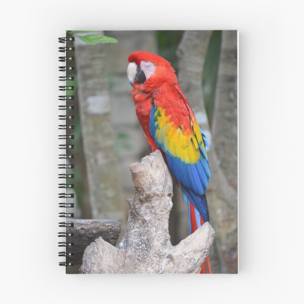 Item preview, Parrot designed and sold by Moonwater.