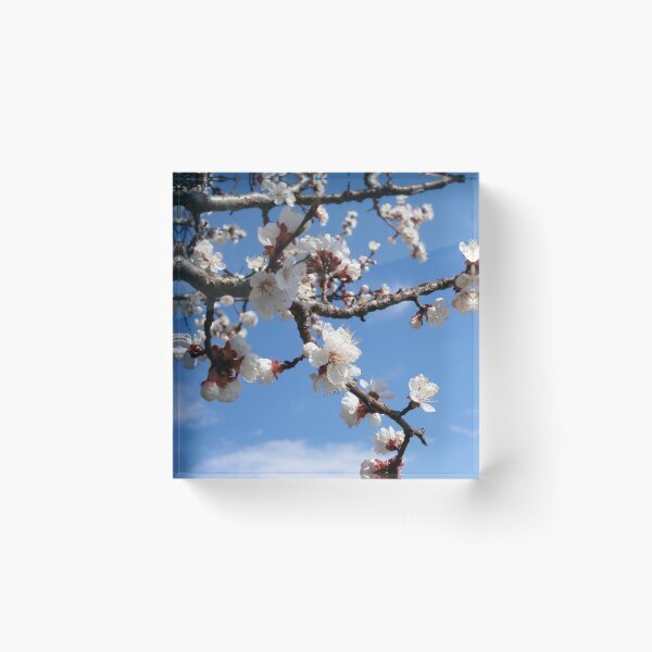 Item preview, Where spring flowers bloom so does hope designed and sold by crystalline.