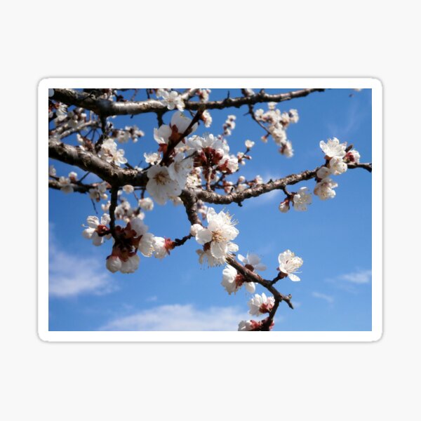 Item preview, Where spring flowers bloom so does hope designed and sold by crystalline.