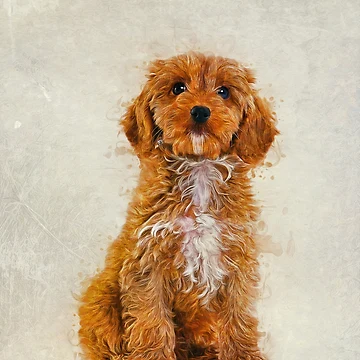 Artwork thumbnail, Cockapoo by MitchellAK