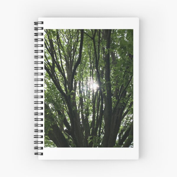 Item preview, Sunshine through the trees designed and sold by RebeccaGaleney.