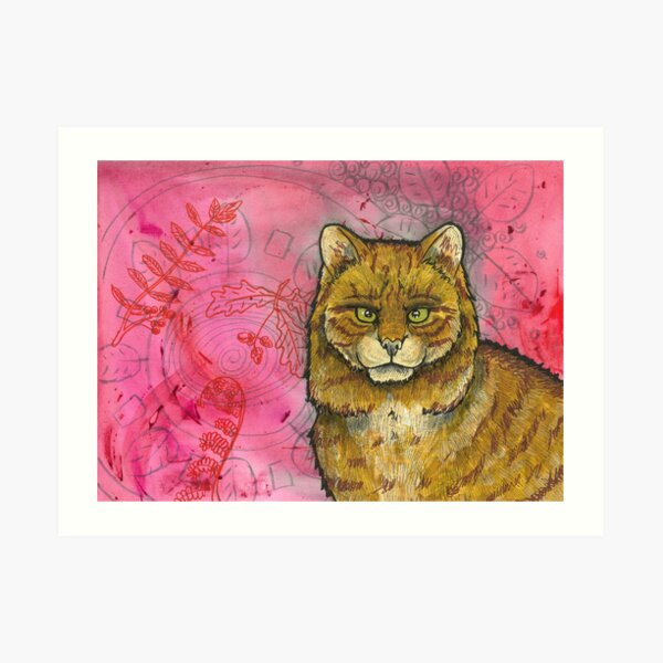 Wildcat Art Print