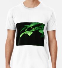 Plant, Common Hazel, leaves Premium T-Shirt