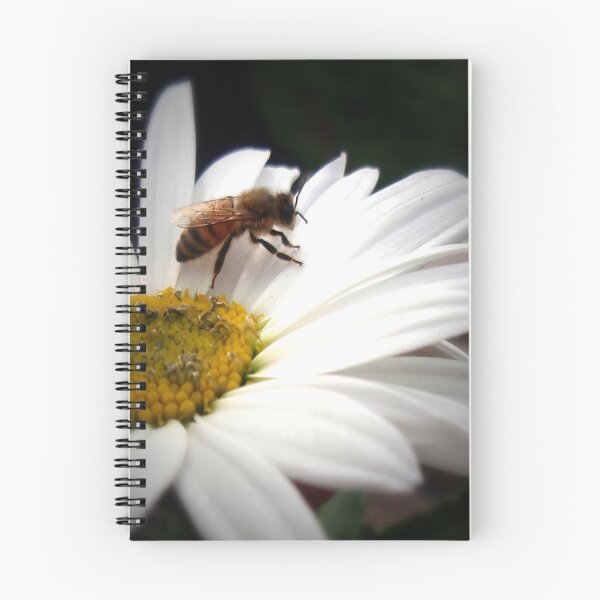 Item preview, Bee Pollinating Daisy designed and sold by Wall Art by Doll.
