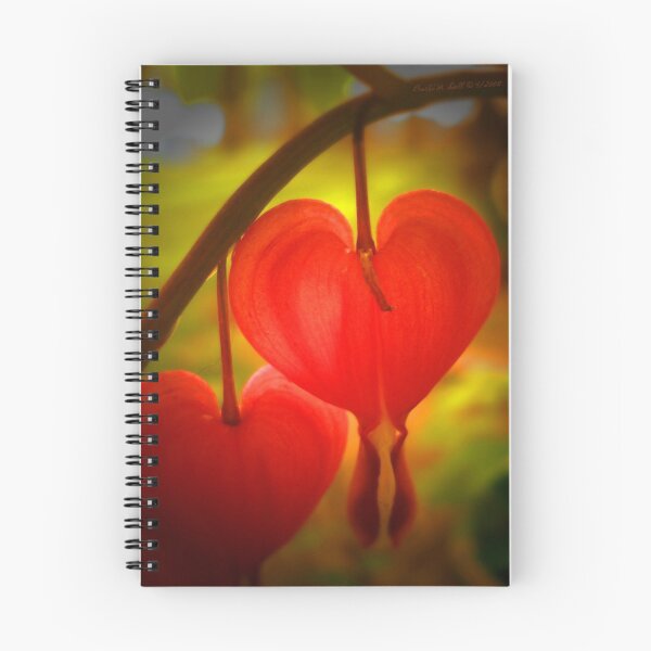 Item preview, Bleeding Hearts - Red designed and sold by Wall Art by Doll.