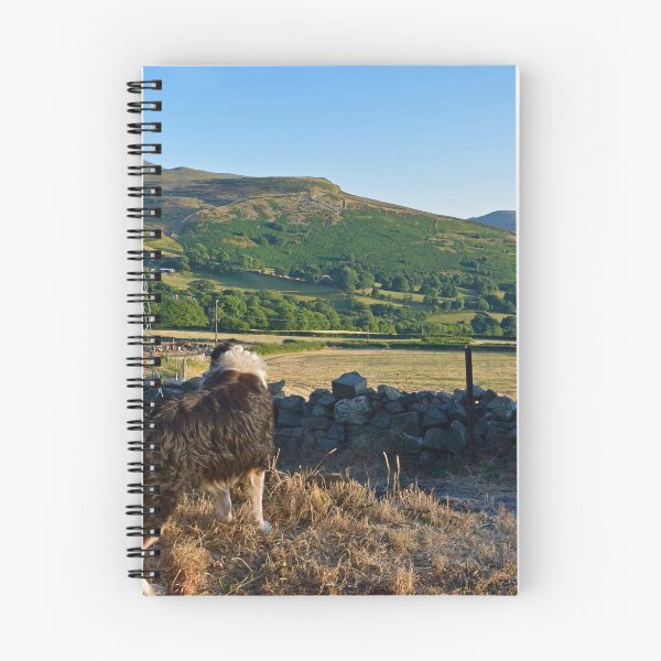 Item preview, A view and Laddie. designed and sold by Michael Haslam.