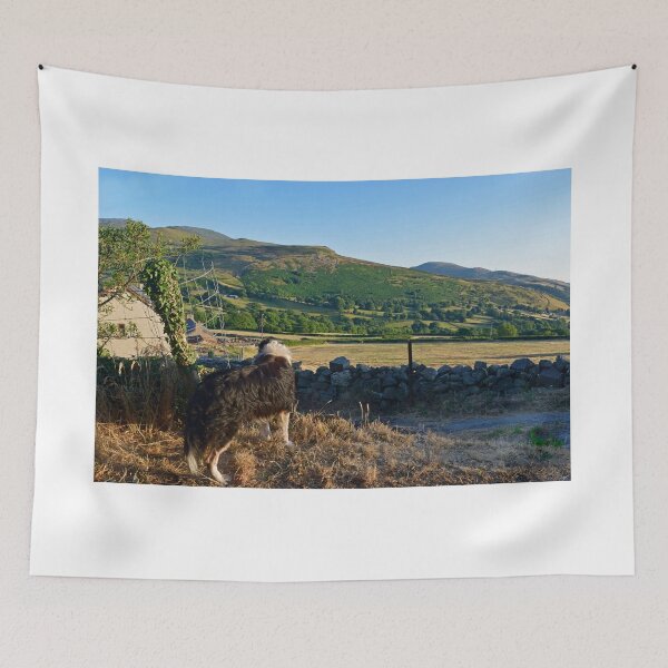 Item preview, A view and Laddie. designed and sold by Michael Haslam.