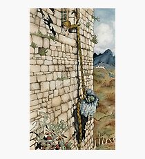 Watercolor Tribute to Arthur Rackham’s Rapunzel Photographic Print
