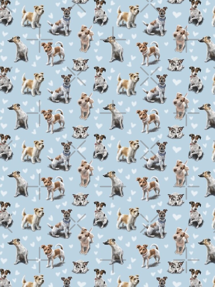 Jack Russell Terrier by elspethrose