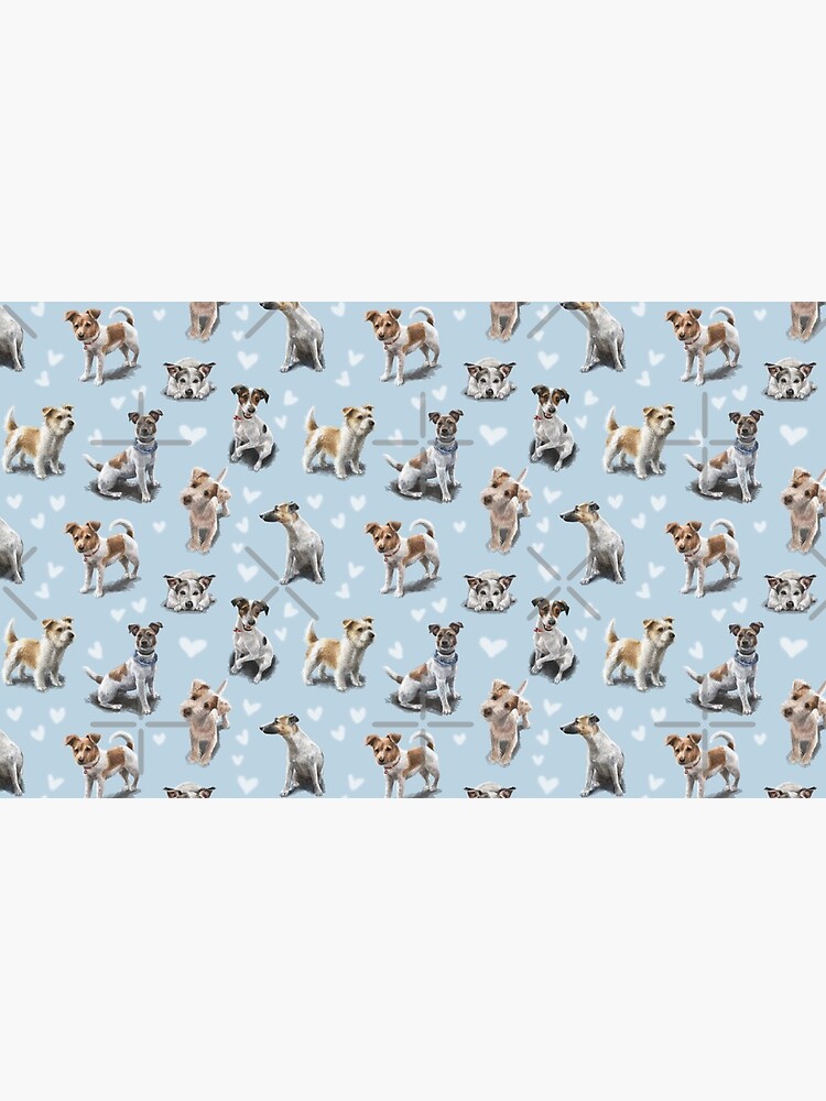 Jack Russell Terrier by elspethrose