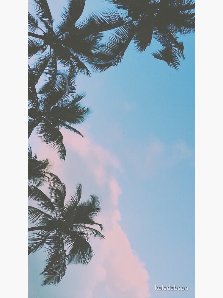 Palm Tree iPhone Wallpaper | 17 Bright and Beautiful iPhone Wallpapers That  Scream 