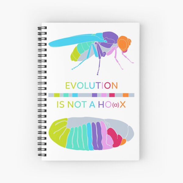 Drosophila Hox Genes - Evolution is not a Ho(a)x Spiral Notebook