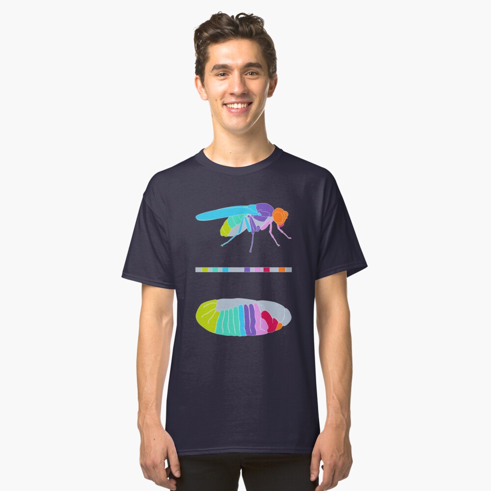 Drosophila Hox Genes Classic T-Shirt