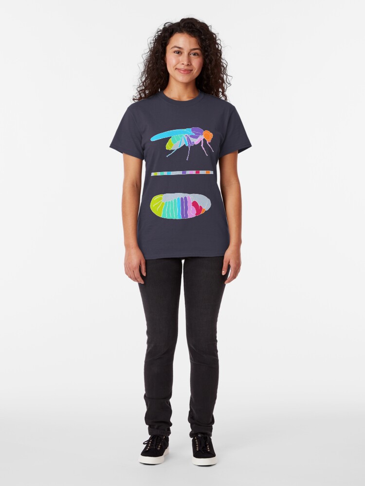 Alternate view of Drosophila Hox Genes Classic T-Shirt