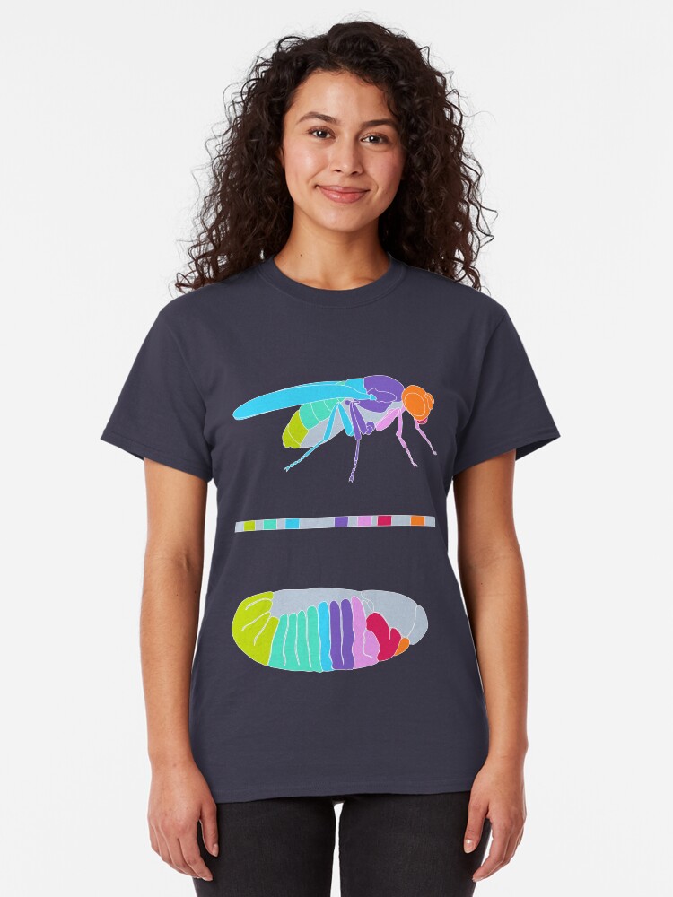 Alternate view of Drosophila Hox Genes Classic T-Shirt