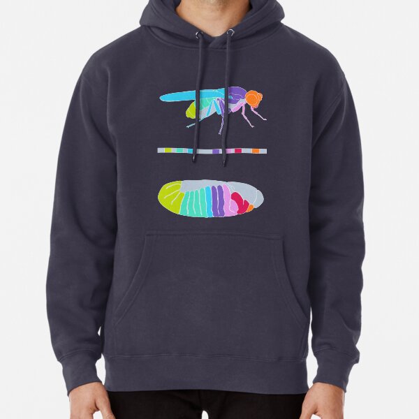 Drosophila Hox Genes Pullover Hoodie