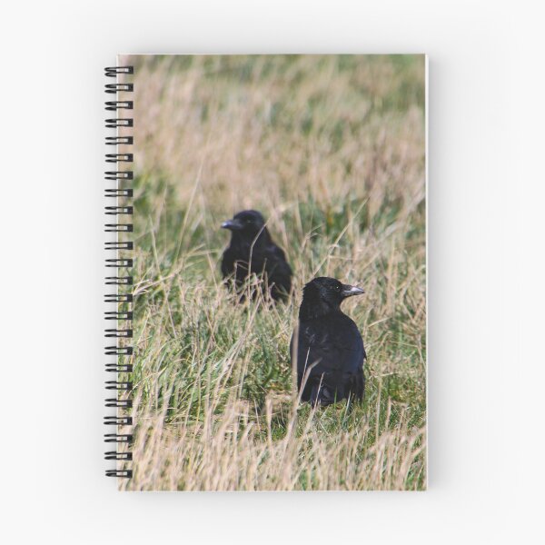 Item preview, crows designed and sold by Perggals© - Stacey Turner.