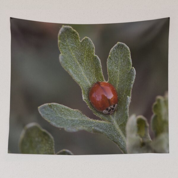Item preview, The Lady Beetle With No Spots designed and sold by StampCity.