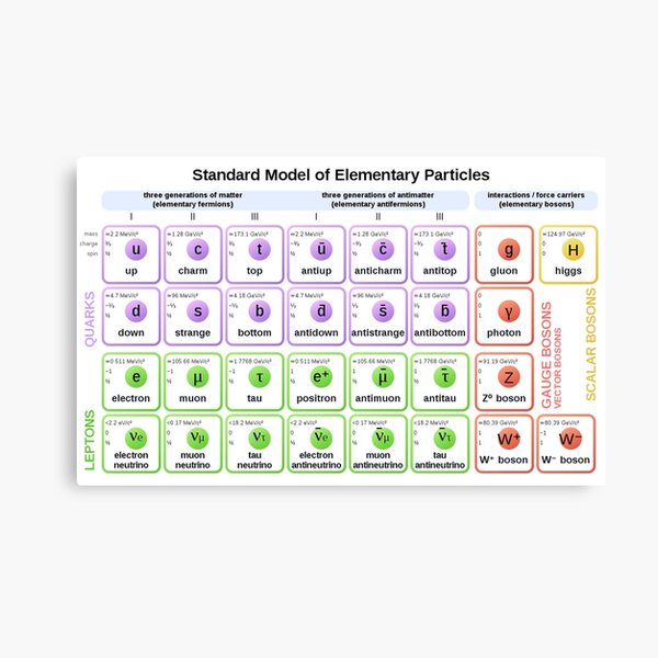 #Standard #Model of #Elementary #Particles Canvas Print