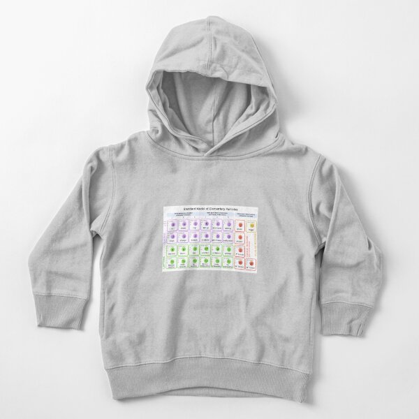 #Standard #Model of #Elementary #Particles Toddler Pullover Hoodie