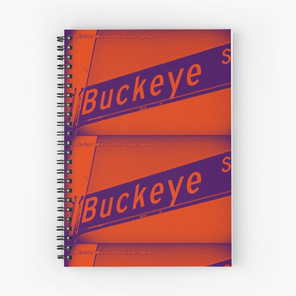 Item preview, Buckeye Street, Pasadena, CA by MWP designed and sold by The Street Sign Store.