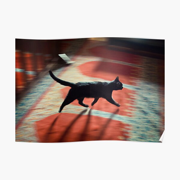 MosqueCat Poster