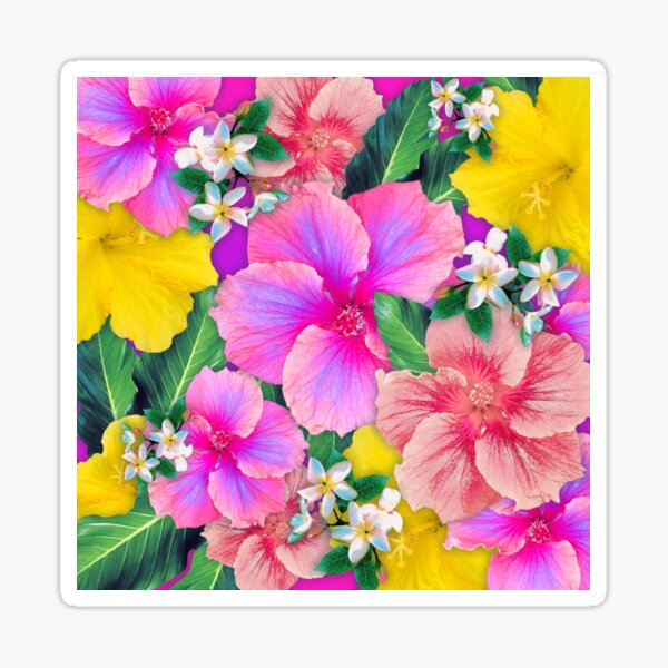Aloha Rainbow Sherbet Sticker