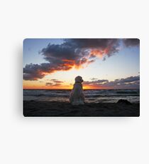 Ditte - the sunset dog Canvas Print