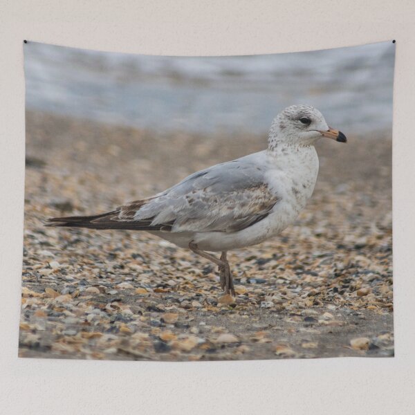 Item preview, Beach Bum 2 designed and sold by KensLensDesigns.